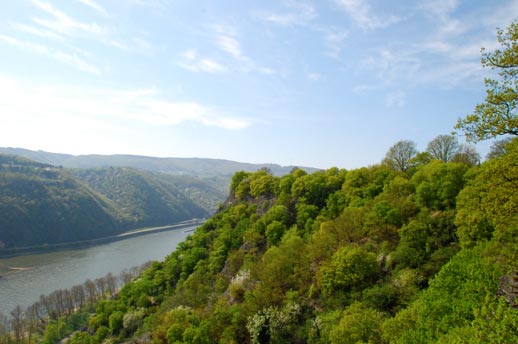 Blick auf Rhein und Hochplateau Ehrentaler Hahn